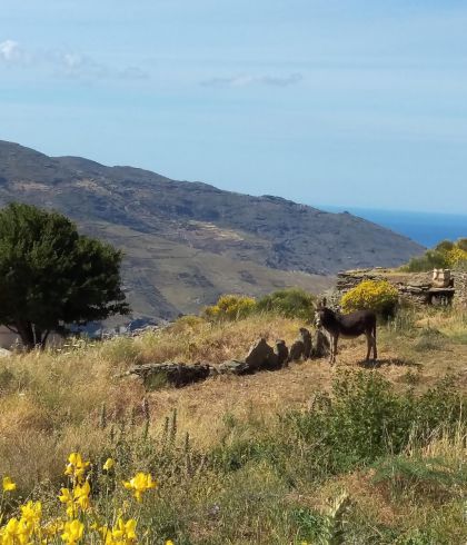 Palaiopoli Via Ferrata Andros